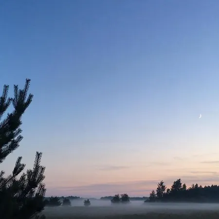 Monciske * Palanga